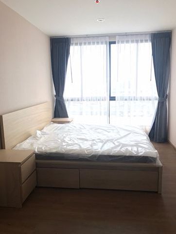 For rent THE TREE INTERCHANGE Ready to move in