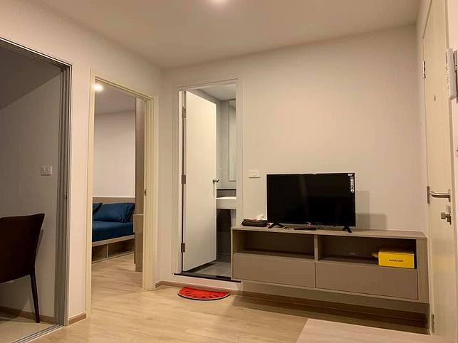 For Rent Elio Del Moss - 1 bed 31 sq.m.  4th floor