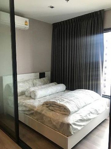 出租 Politan Rive 准备入住