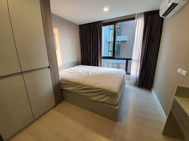 เดอะคิวบ์พลัส