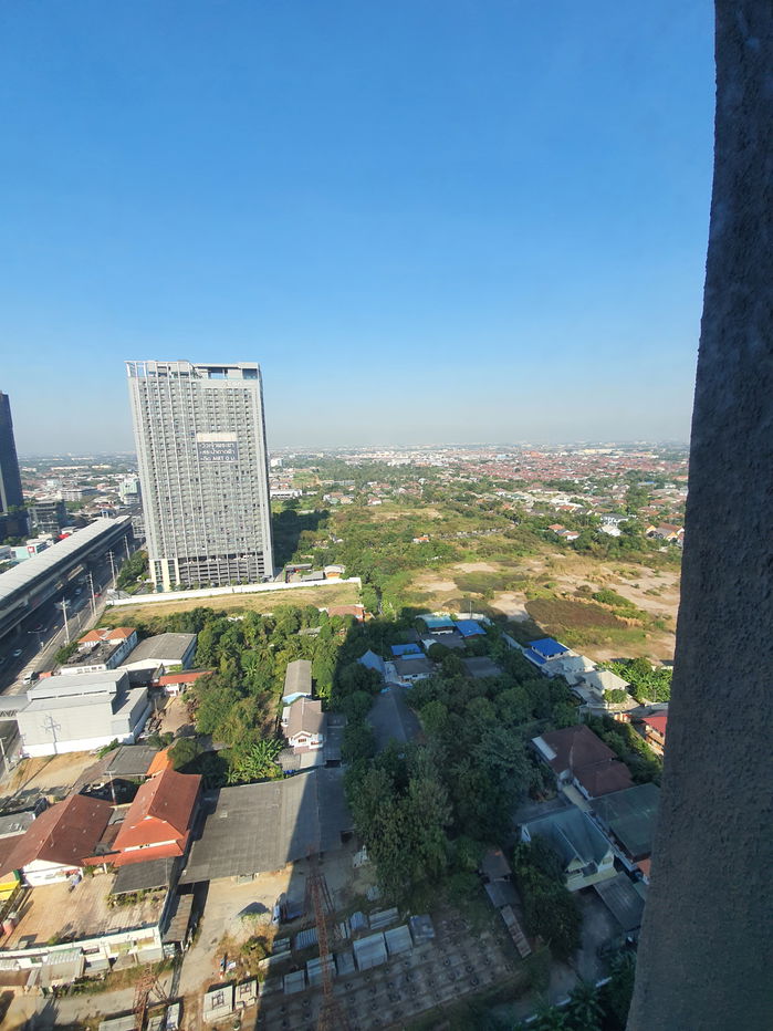 Rick                                                park