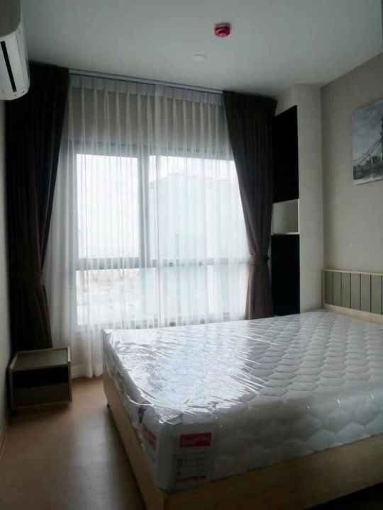 T1123 Condo for rent The Tree Sukhumvit 71 - Ekamai, beautiful room, fully furnished, special price.