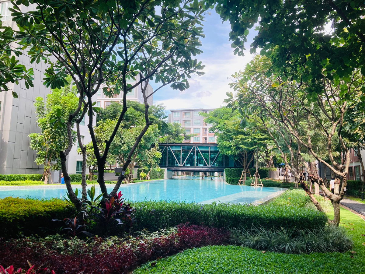 For Rent Dcondo Ping Chiang Mai