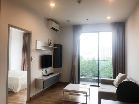 For Rent, Super Cheap Premio Vetro Condo, 6th Floor Opposite Kaset University