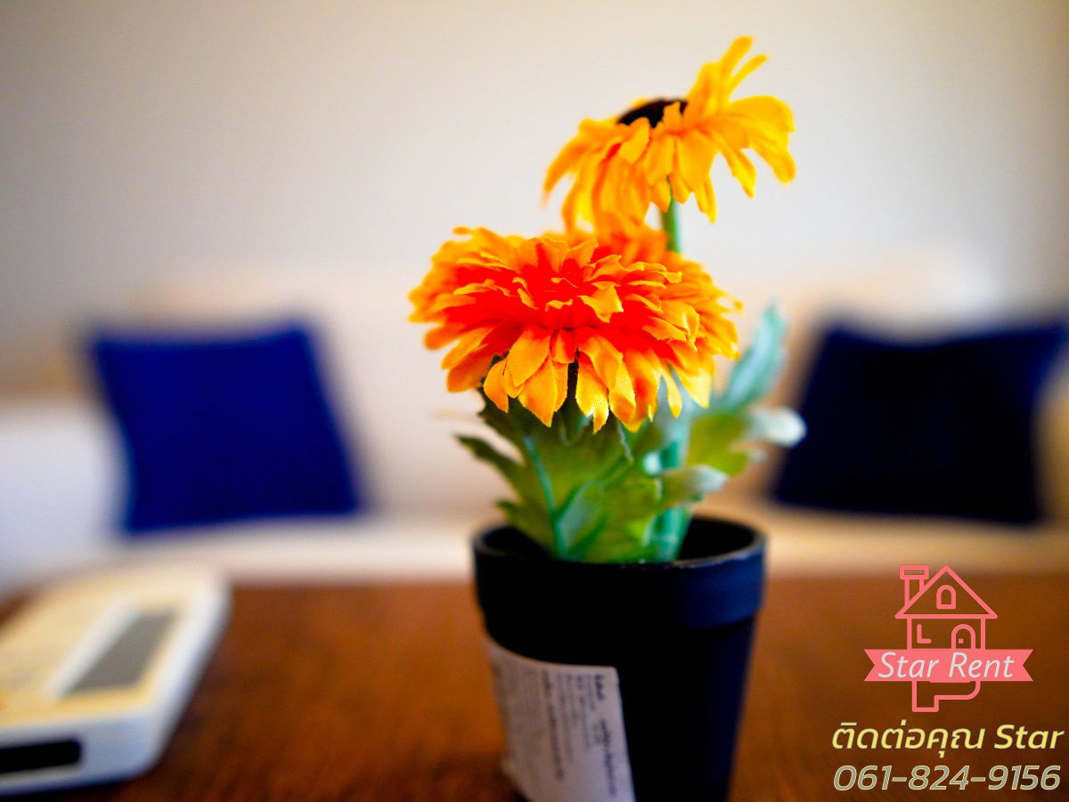 Condo for rent next to Central Plaza Chonburi 12,000 Fully Furnished with electrical appliances  line:Rangsima07