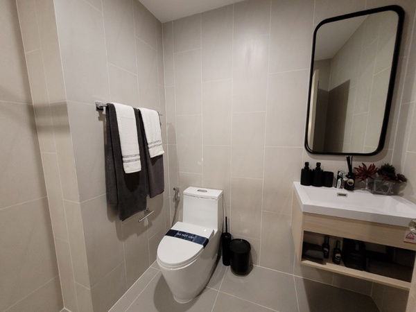 ✨🔥 热销价！