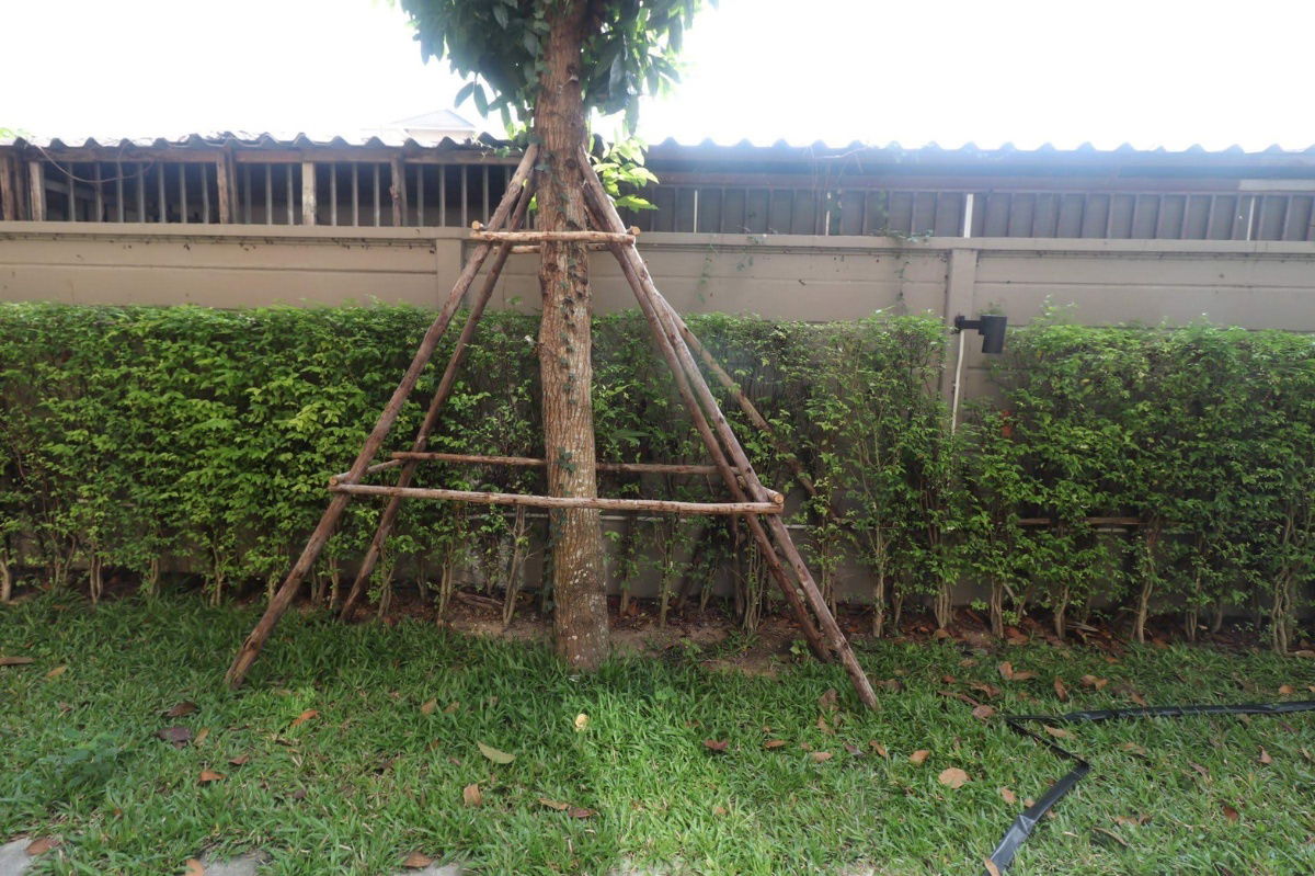 D condo rayong  floor1  c 1bedroom