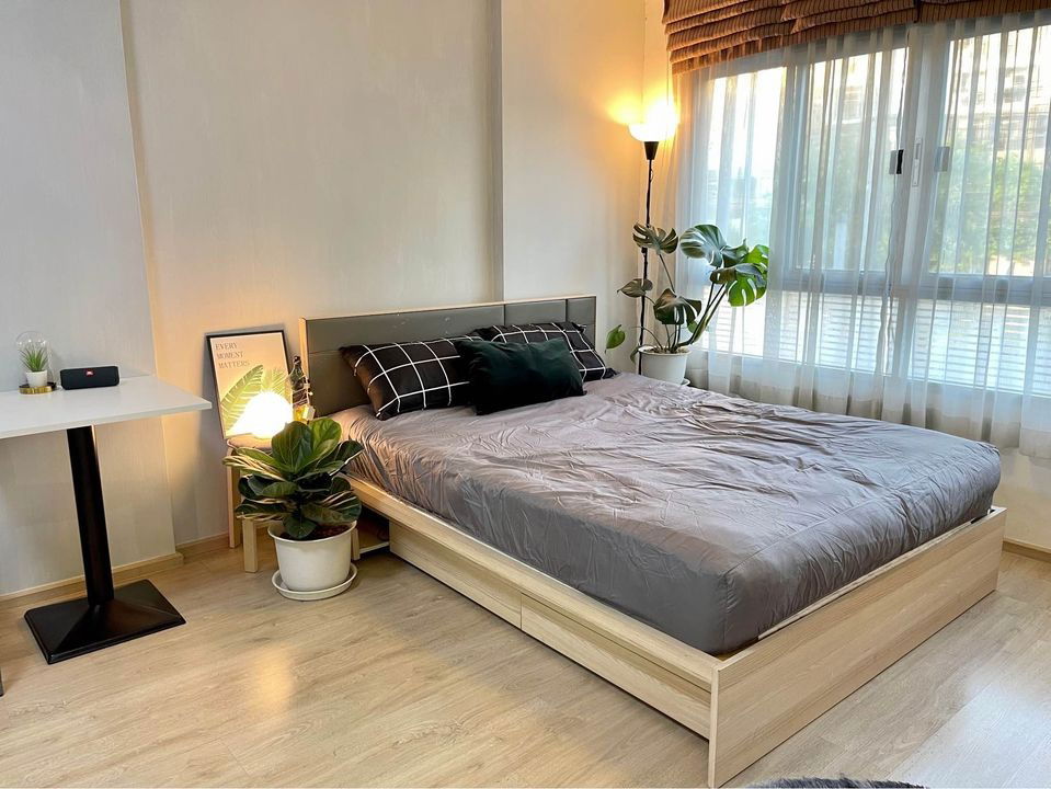 Elio Del RayElio Del RayElio Del Ray