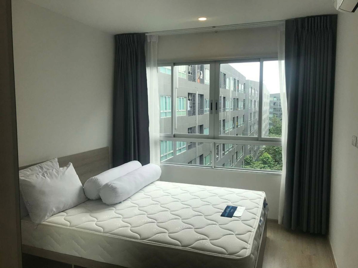 Elio Dell Moss Kasetsart University