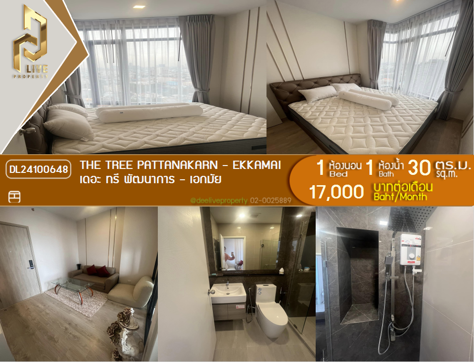 DL24100648 ကွန်ဒို ငှားရန်ရှိသော The Tree Pattanakarn - Ekkamai လိမ္မော်လိုင်းအနီးတွင် အသင့်နေထိုင်ရန် အမြန် 0653619502 LineID @534wlwof