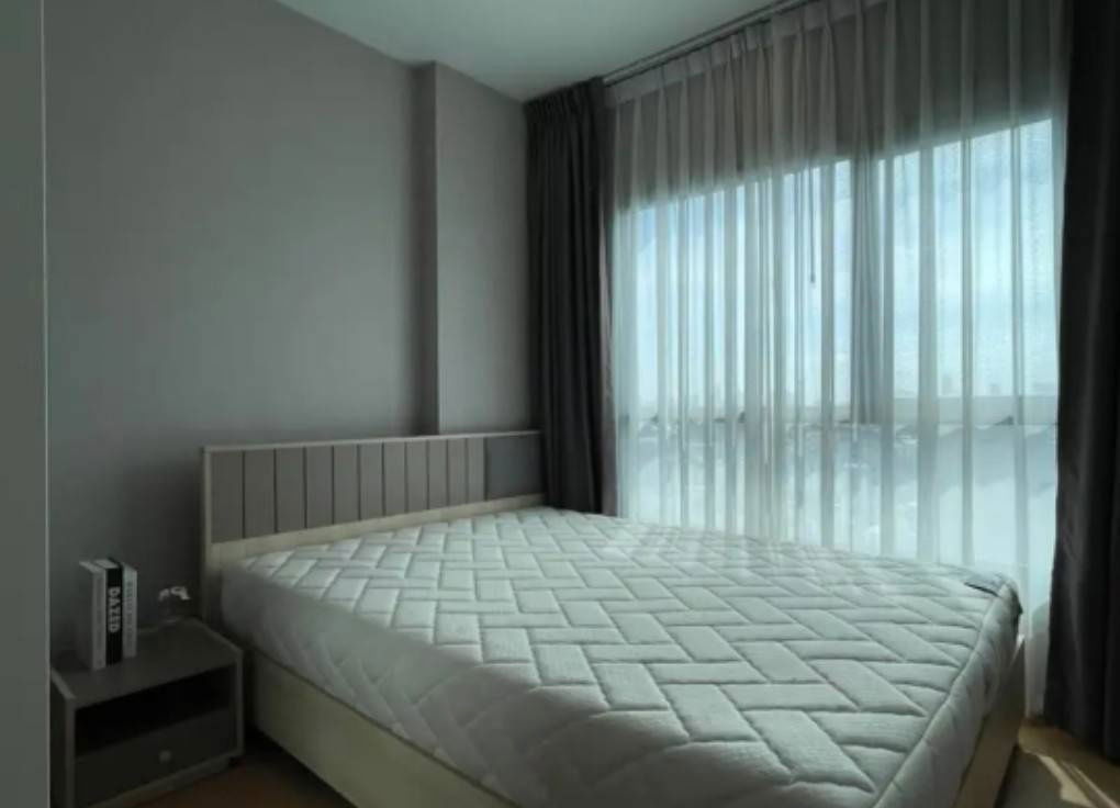 P525 Condo ငှားရန်ရှိသော The Tree Sukhumvit71-Ekamai ၊ Sukhumvit Road နံဘေး အခန်းကျယ် ပရိဘောဂအပြည့်အစုံ အဆင်သင့်ရှိပြီး ချက်ချင်းနေထိုင်ရန်။