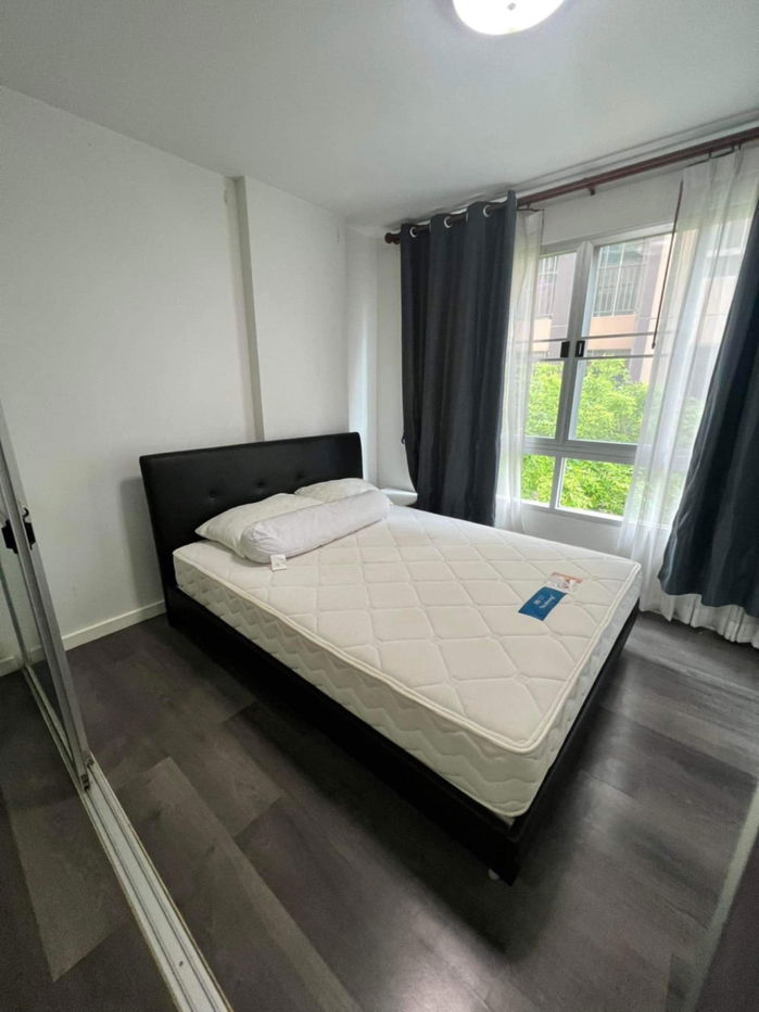 For rent dcondo campus resort rangsit