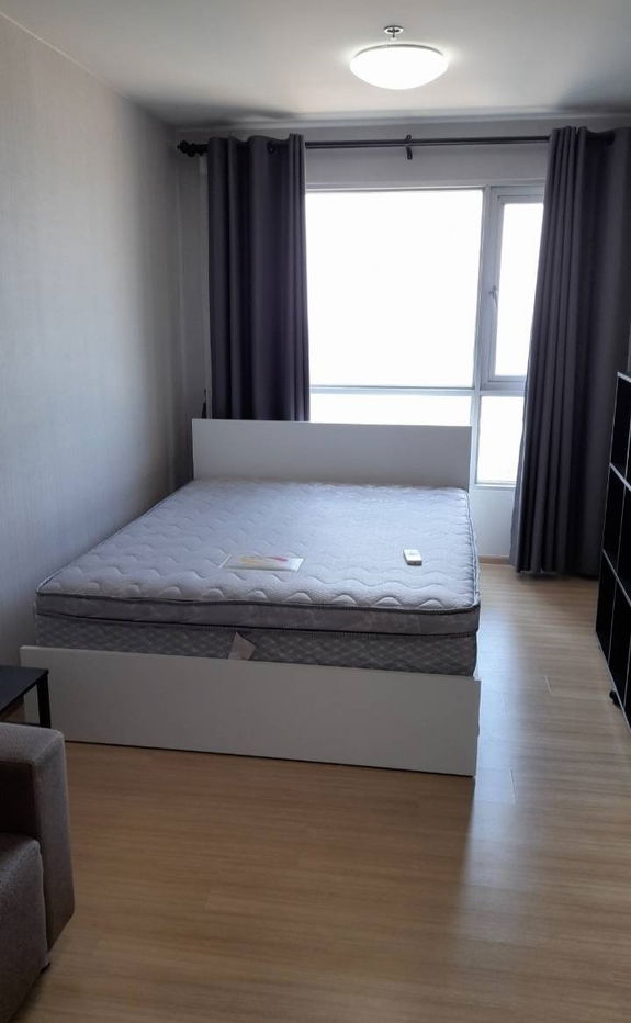 Fuse Sense' BangkaeFuse Sense' Bangkae