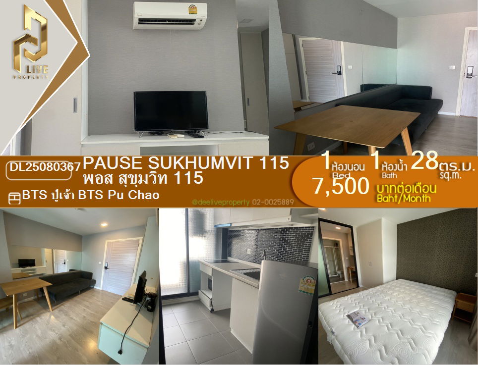 DL25080367 For rent Pause Sukhumvit 115, good location, near BTS Pu Chao, very good price💥