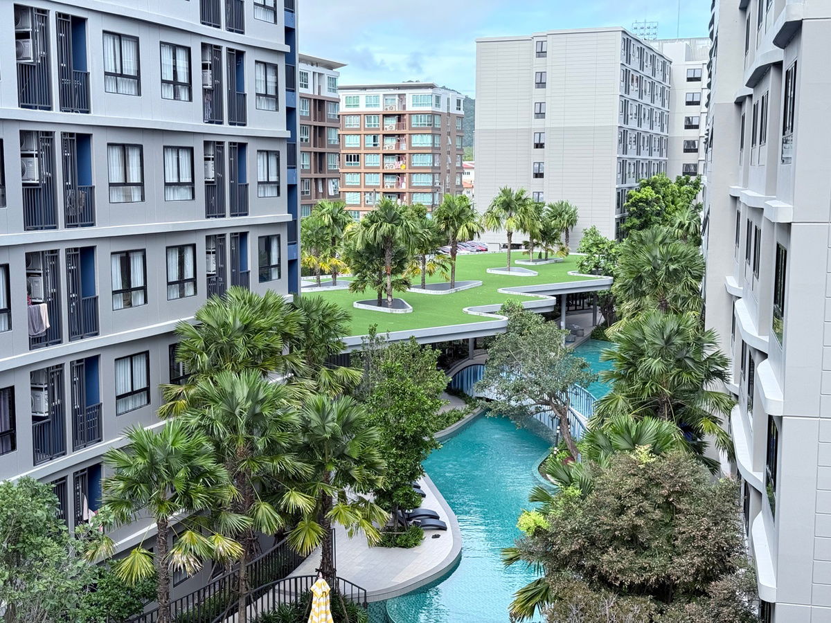 D condo Reef , Kathu area for rent. Pool view