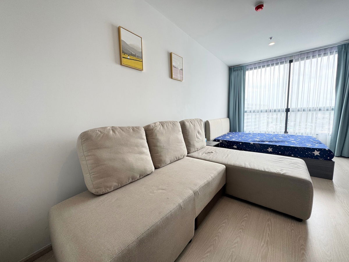 စတူဒီယိုအခန်း ငှားရန်ရှိသော ကွန်ဒို Elio DelNest