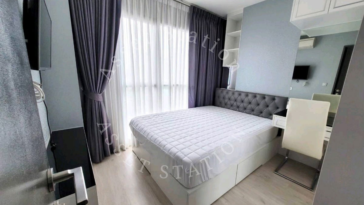 🌳✨立即预订！