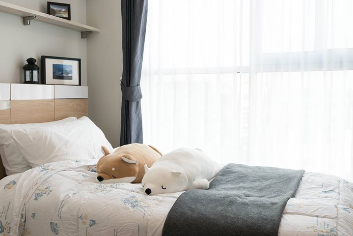 For rent Noble Revolve Ratchada 2 Floor 8 , 53.8 sq.m.