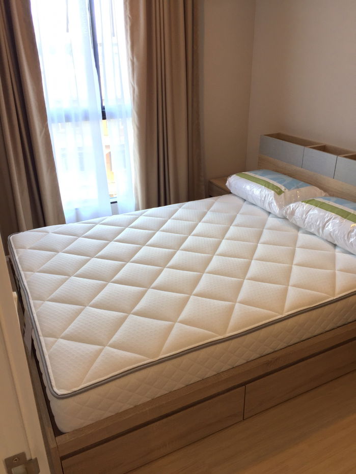 ให้เช่า The tree onnut 28ตรม.1เตียง เดือนละ14k แอดไลน์ paolin1