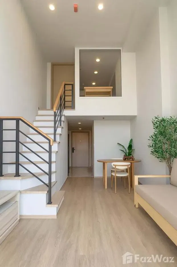 Culture Chula 5904430