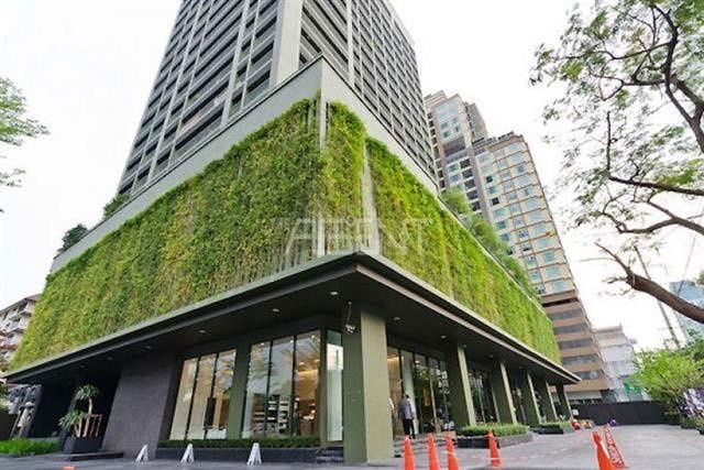 ST0356    Noble Ora Thonglor ST0356