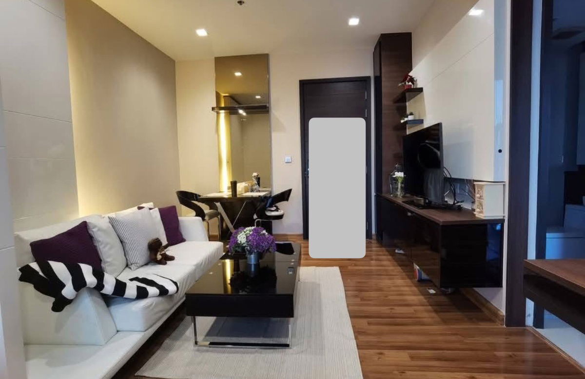 Ivy                           Ampio