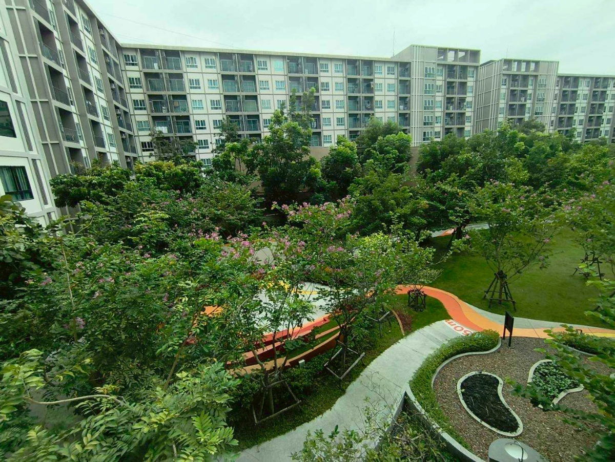 🌟Dcondo Vale Sriracha 🎓 靠近农业大学 |