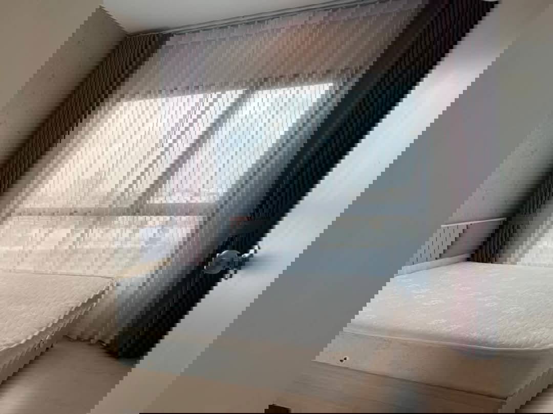 出租💥 The Tree sukhumvit 71 💥 房间很漂亮，可随时入住，装修精美，家具齐全。