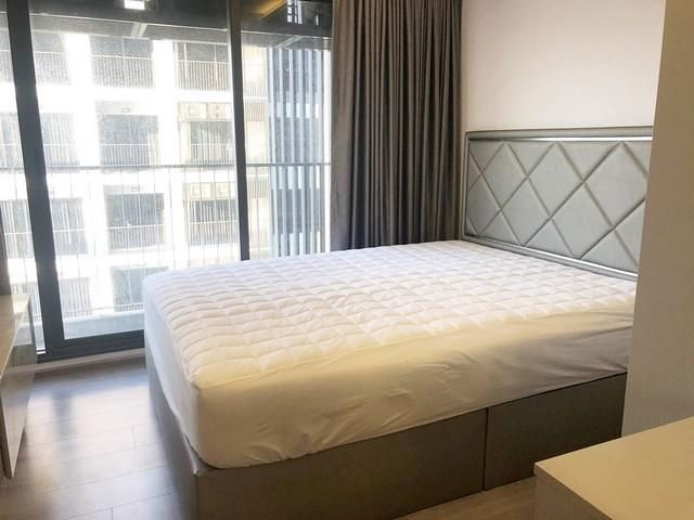 The Politan Breeze The Politan Breeze