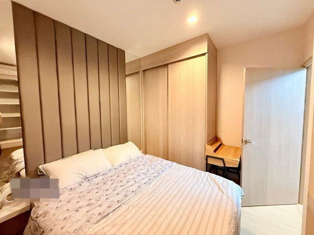 C6485 Rent  :  Condo  Whizdom Connect Sukhumvit ( BTS Punnawithi ) 064 665 4666