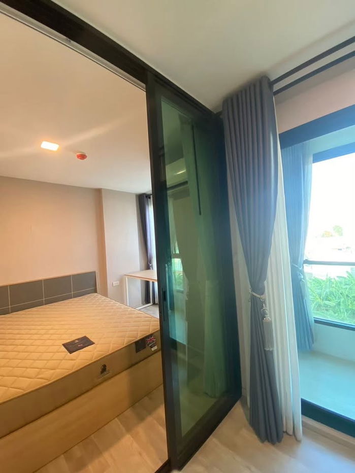 MAXXI 公寓出租公寓 (C6812003)