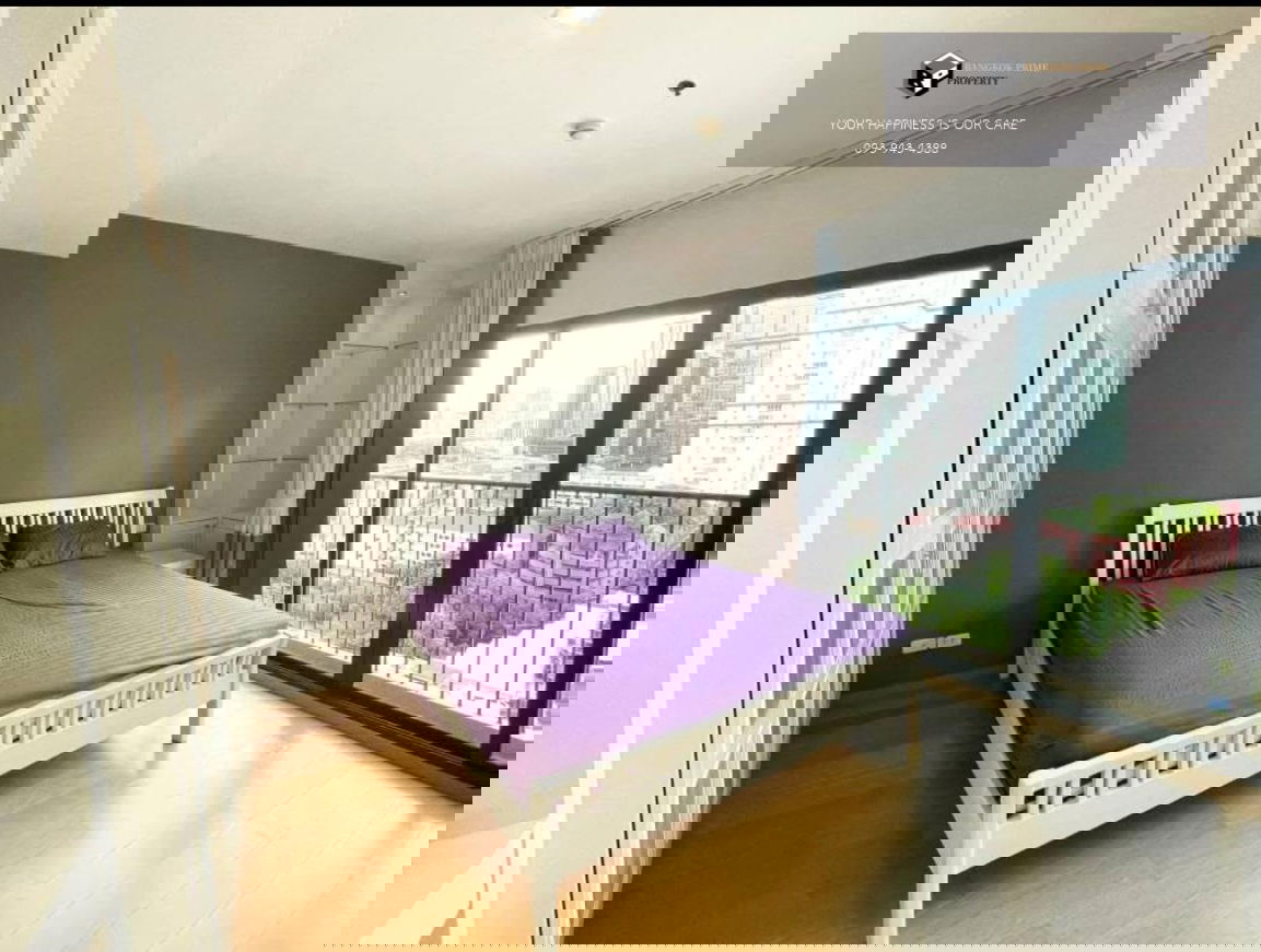 高贵的雷文特 |