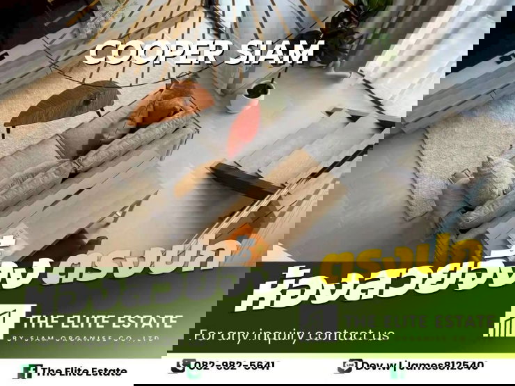 🔑✨ Exclusive Offer – Fully Furnished Condo at Cooper Siam