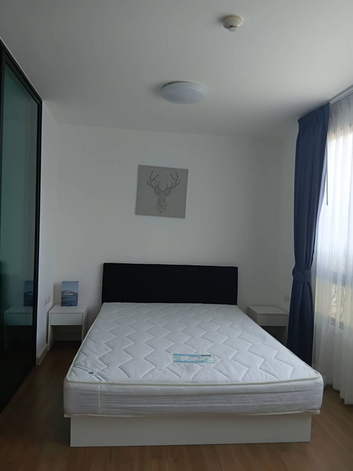@Condorental condo for rent icondo Salaya 2 The campus