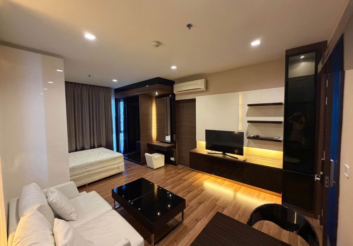 Ivy                           Ampio