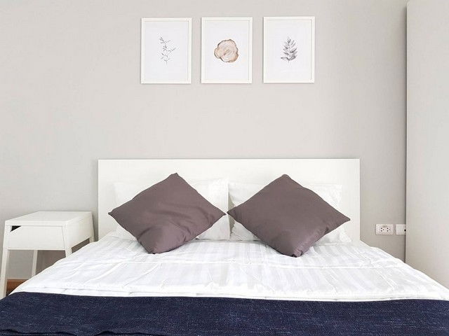 C6496 Rent  :  Condo  Supalai Park Khaerai - Ngamwongwan ( MRT Nonthaburi Government Center ) 064 665 4666